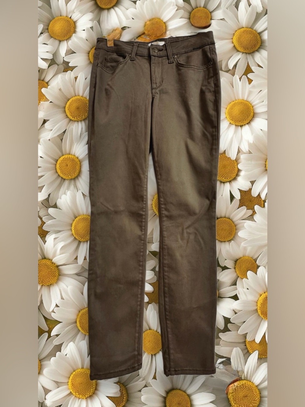 Sonoma Skinny Jeans in Brown